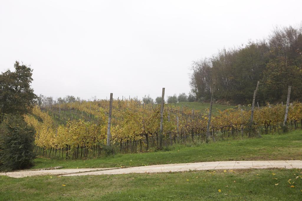 Agriturismo Marani Arcugnano Dış mekan fotoğraf