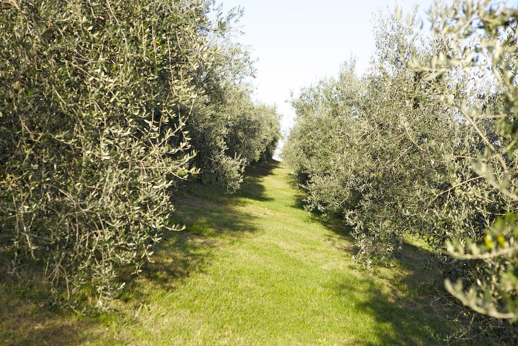 Agriturismo Marani Arcugnano Dış mekan fotoğraf